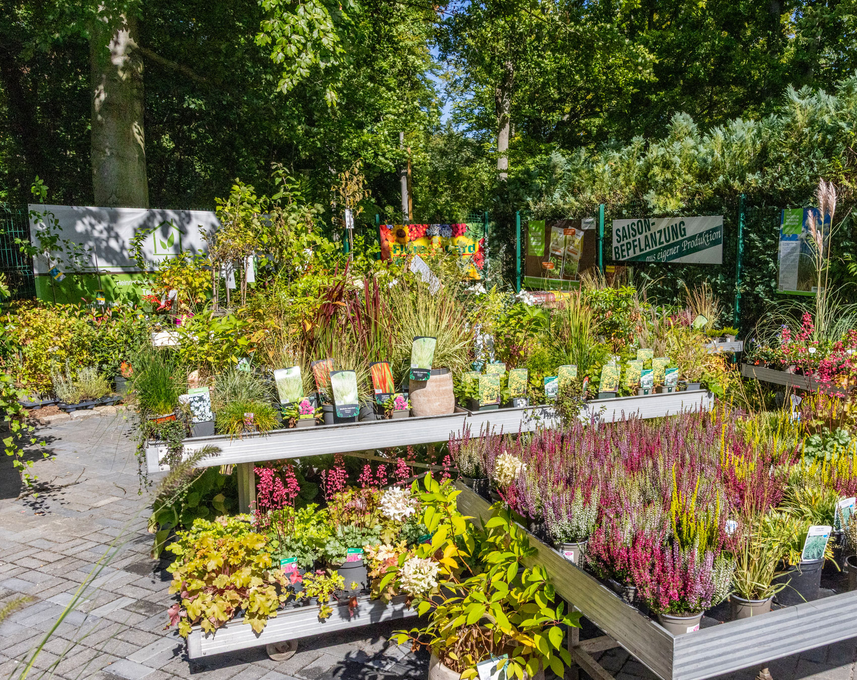 friedhofsgaertnerei_148-IMG_6375_aussenbereich_eigene-produktion-verkaufsflaeche