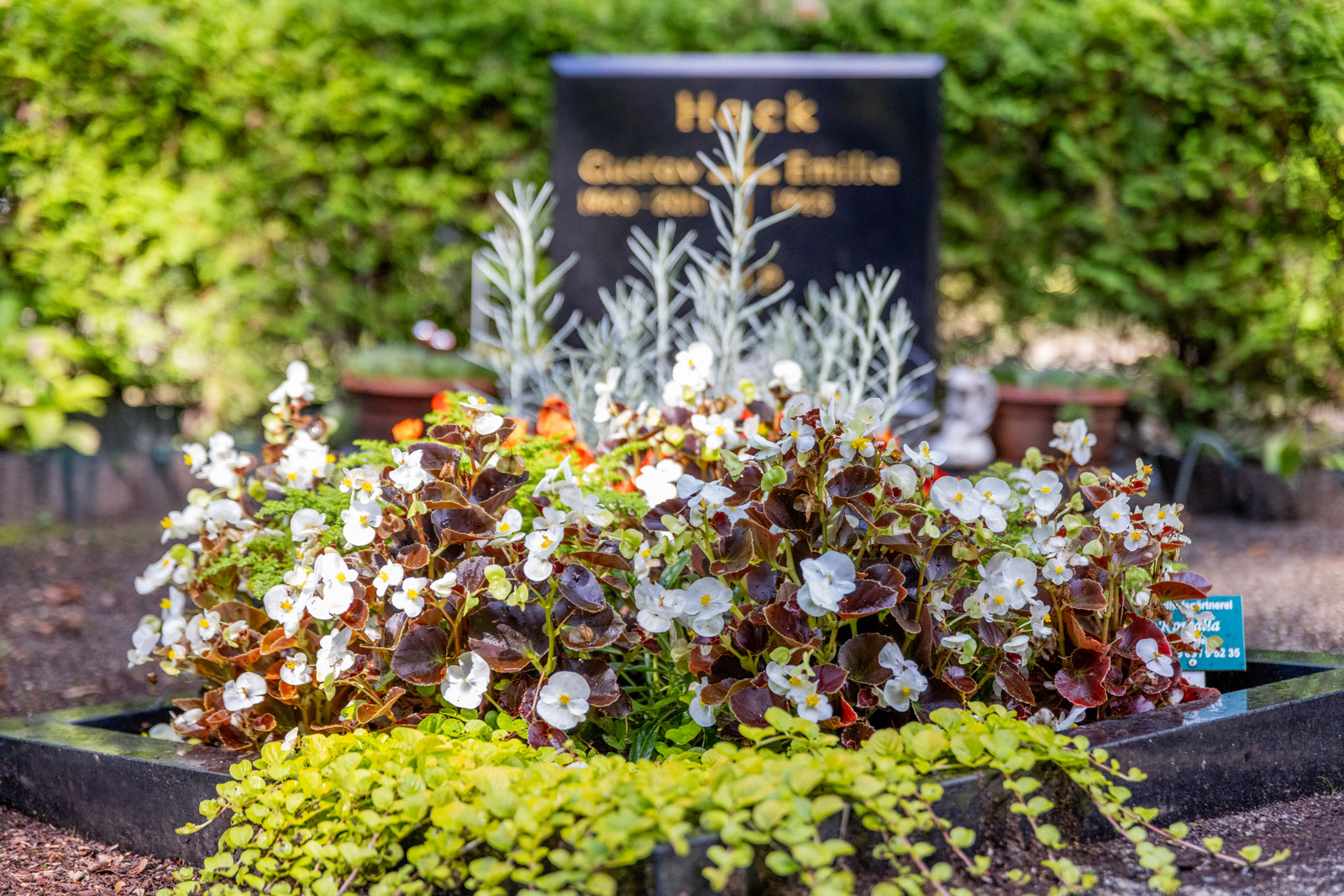 friedhofsgaertnerei_ueber-uns_grabpflege_98-IMG_6189