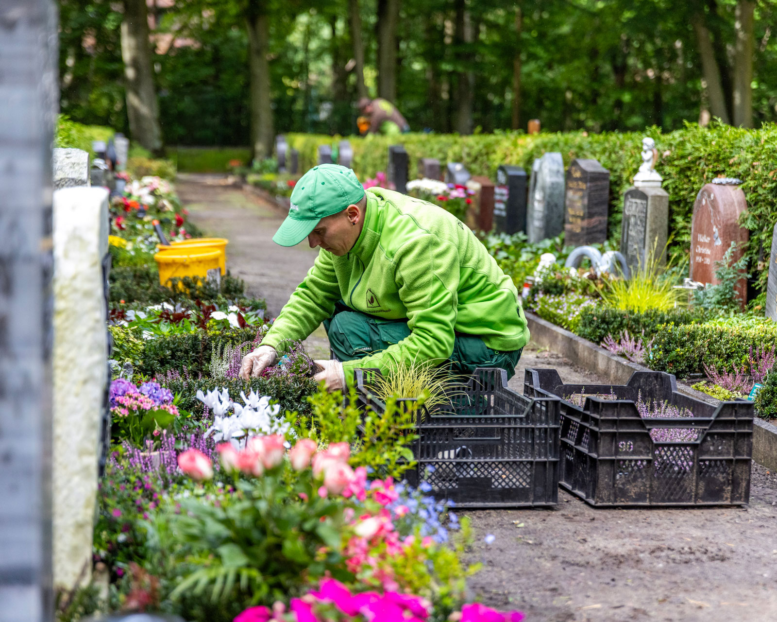 friedhofsgaertnerei_grabpflege_17-IMG_5971