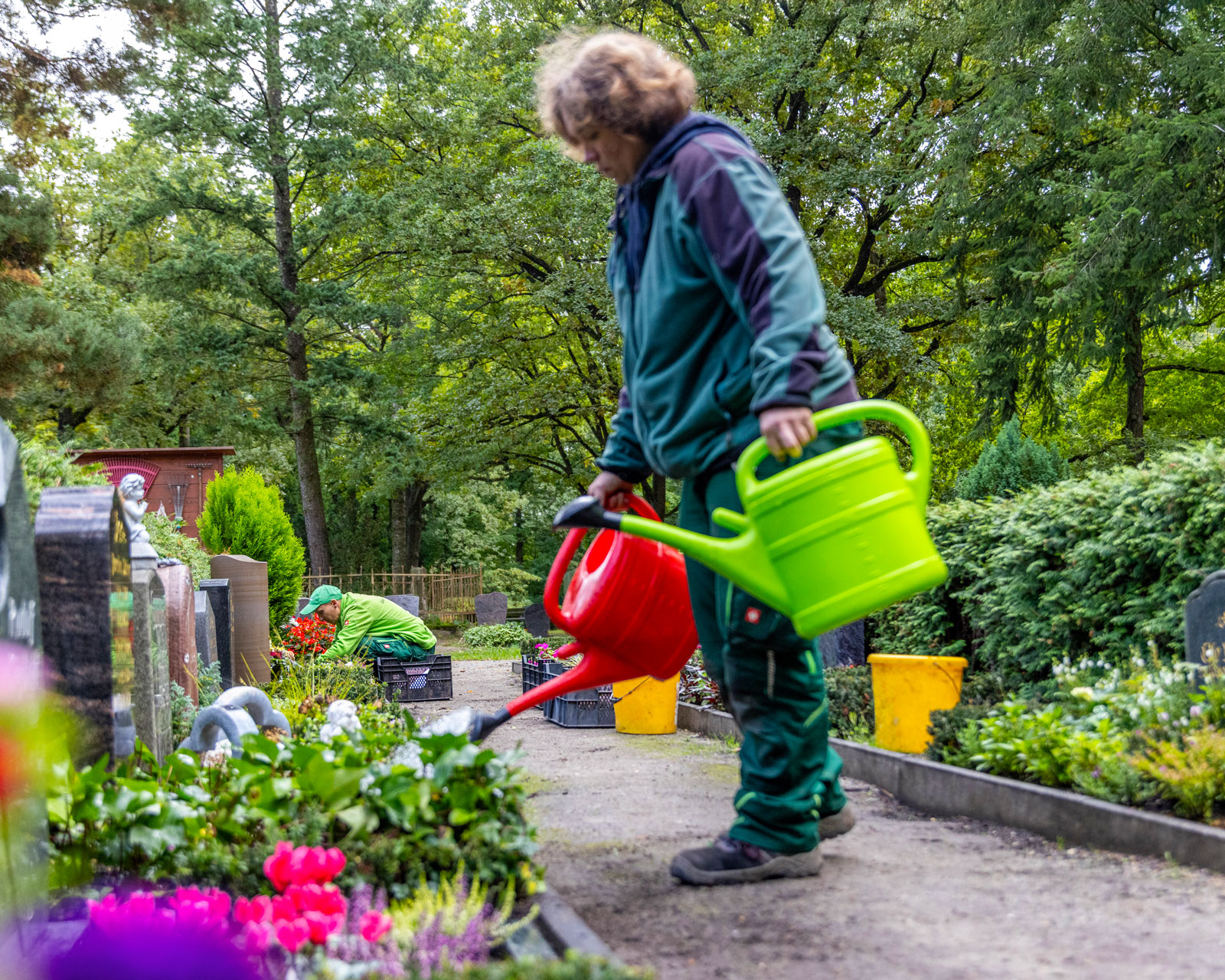 friedhofsgaertnerei_grabpflege_28-IMG_5995