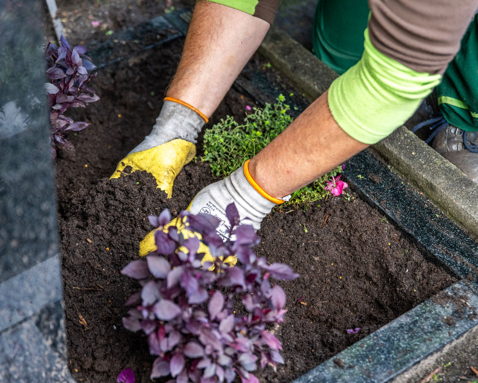 friedhofsgaertnerei_grabpflege_32-IMG_6003