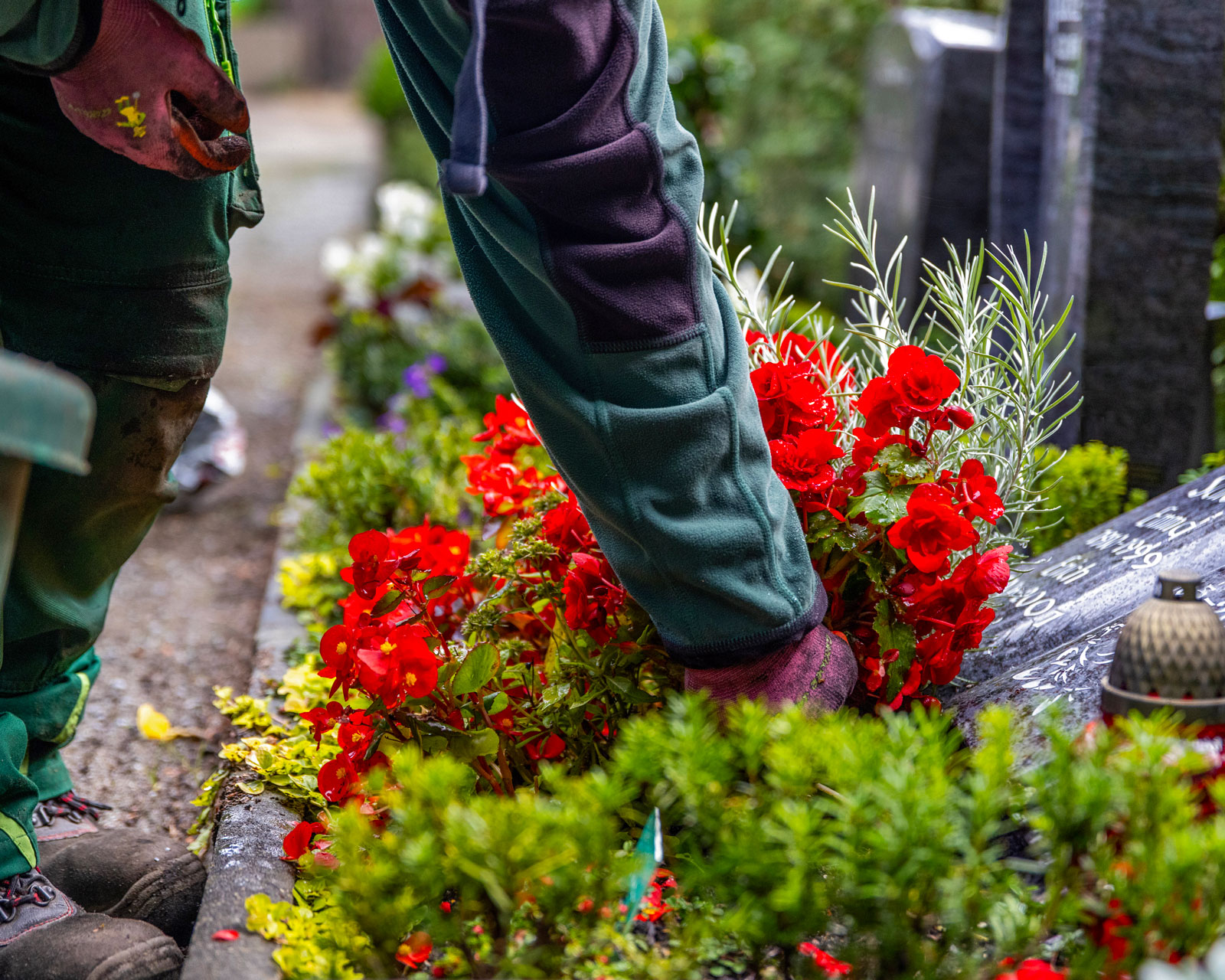 friedhofsgaertnerei_grabpflege_41-IMG_6020