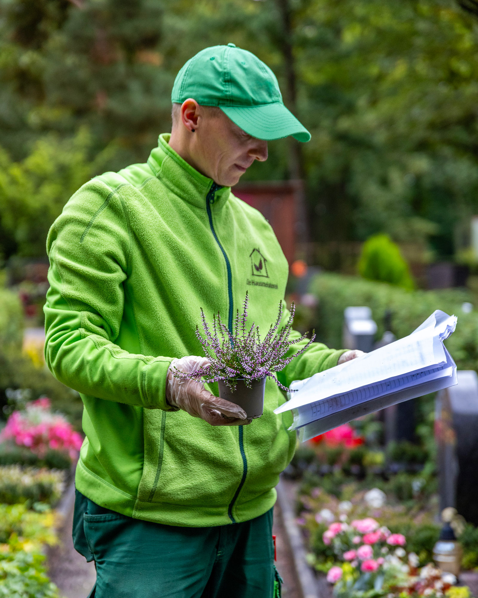 friedhofsgaertnerei_grabpflege_63-IMG_6076