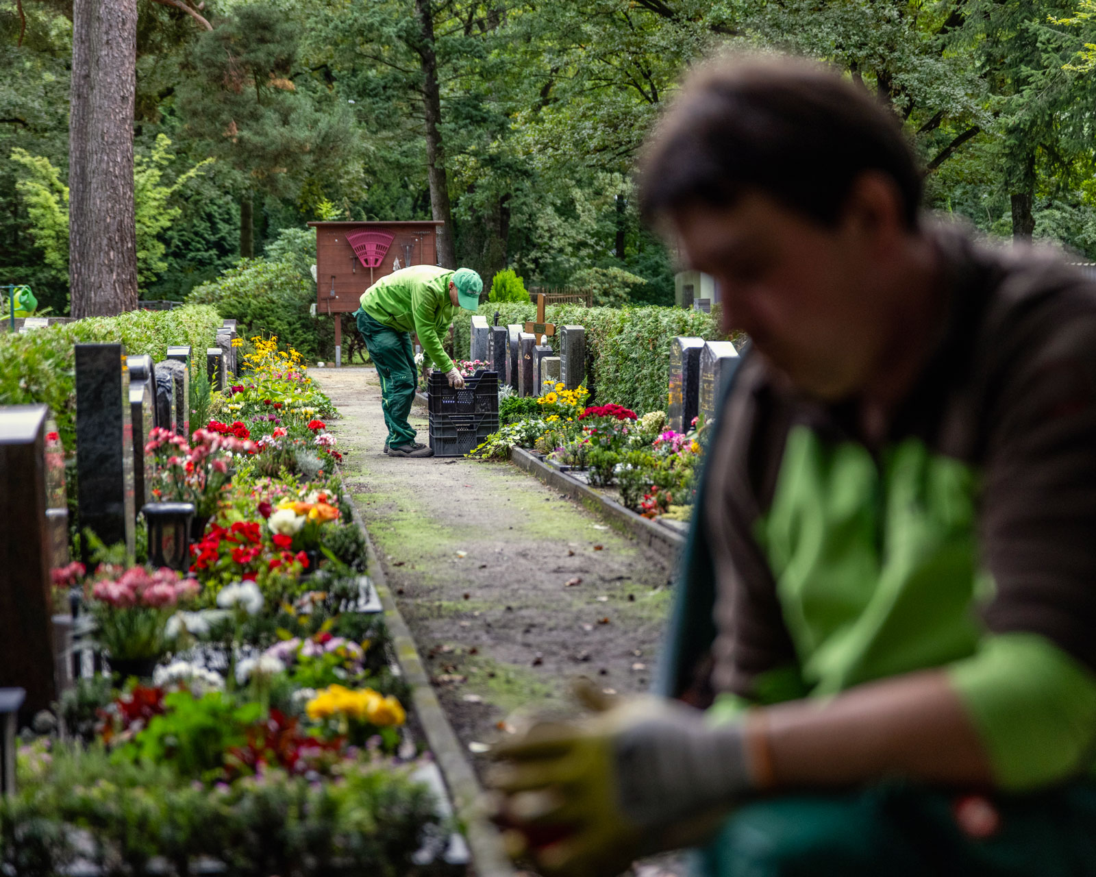 friedhofsgaertnerei_grabpflege_72-IMG_6113